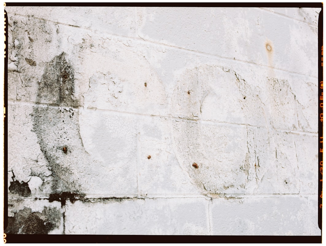 Basement Water Removal service in Great Falls, MT